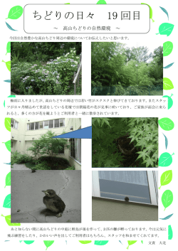 ちどりの日々 19 回目