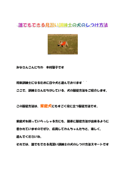 みなさんこんにちわ 木村裂子です 将来訓練士になるために日々犬と遊ん