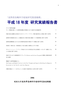 平成 18 年度 研究実績報告書