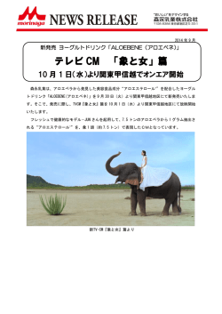 テレビ CM 「象と女」篇