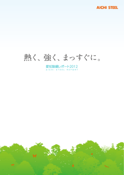 愛知製鋼レポート2012（PDF：9.4MB）