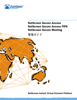 NetScreen Instant Virtual Extranet