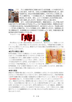 肛門の構造と働き 痔の原因