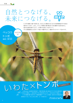 いわた×トンボ