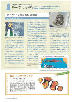 66号（2012年6月発行）アカウミガメの回遊経路調査