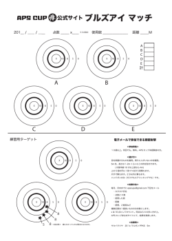 APS CUP 公式サイト ブルズアイ マッチ