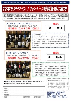 特別価格：9,980円 （税込）