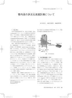 管内流の多次元流速計測について