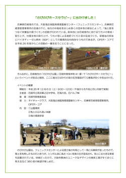 活動参加報告