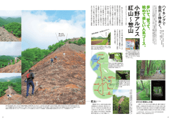 【2015年7月号】ハイキングで自然と仲良く。