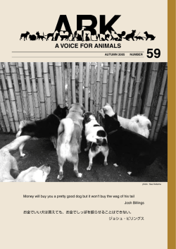 A VOICE FOR ANIMALS