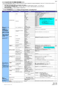 ショットワークス ワーク情報 対応分類表