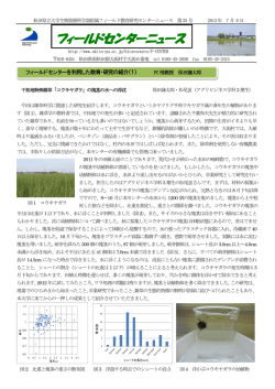 No.35（7月）