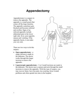 盲腸炎手術 - Health Information Translations