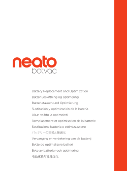 Battery Replacement and Optimization