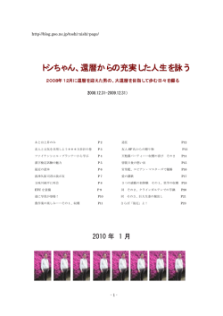 skyblog愛の画像