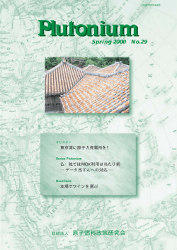 Spring 2000 No.29