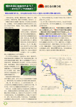 第20回 ほたるの舞う町 (ファイル名：(20)hotaru サイズ