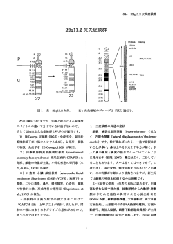 22q11.2 欠失症候群