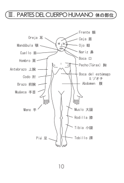 Ⅲ.PARTES DEL CUERPO HUMANO 体の部位