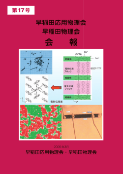 第17号 - 早稲田物理会