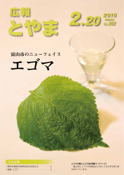 全ページの一括ダウンロード （18582kbyte）
