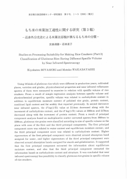 PDF形式