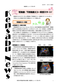 腎動脈/下肢動脈エコー検査スタート!