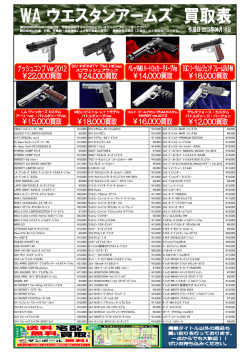 FBIｽﾍﾟｼｬﾙ・ﾋﾞｭｰﾛｰ・HW &yen;13,000 SVI・ｴｸｾﾚﾚｰﾀ6.1(Ver2012