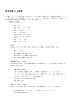 馬術調教の8段階