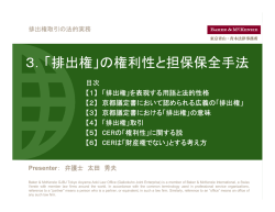 Rights and Security Issues (Japanese)（PDF）