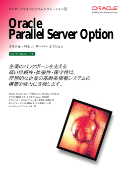 Oracle Parallel Server Option