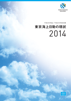 2014年度版 - 東京海上日動