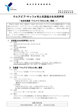 記者発表資料（PDF形式 254KB）