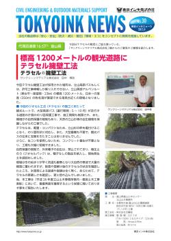 標高 1200メートルの観光道路に テラセル擁壁工法
