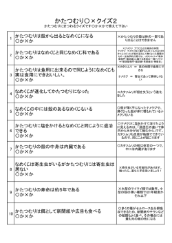 かたつむり〇&times;クイズ2
