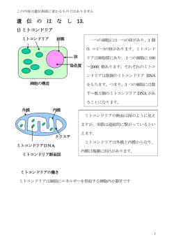 遺伝のはなし13 ミトコンドリア