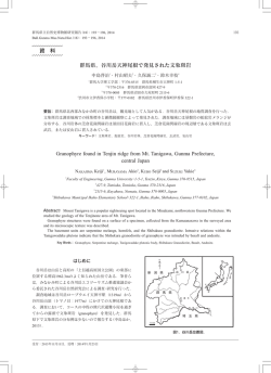 谷川岳天神尾根で発見された文象斑岩