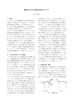 跳躍するウサギの蹠行性歩行について