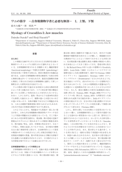 pdfはこちら - 日本古生物学会