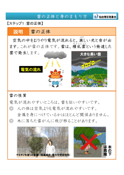 雷の正体 説明