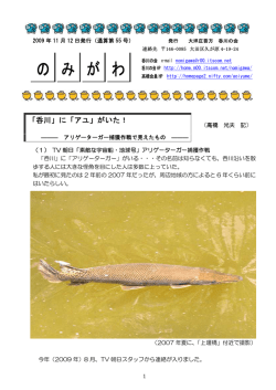 2009年11月12日のみがわ第55号