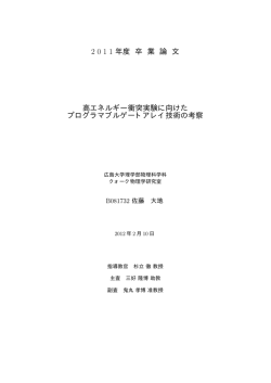 2011 年度 卒 業 論 文 高エネルギー衝突実験に向けた プログラマブル