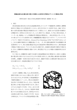 溶融金属生成と酸化鉄の還元の制御による高気孔率