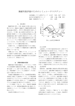 操縦性能評価のためのシミュレータスタディー