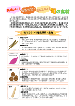 季節の野菜豆知識（秋） [PDF:279KB]