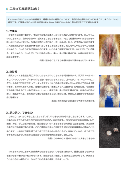 印刷用