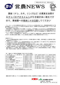果樹（ナシ、カキ、リンゴなど）の果実を加害す るチャバネアオカメムシが