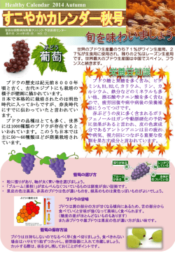 Healthy Calendar 2014 Autumn