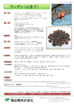 サンザシ（山査子）